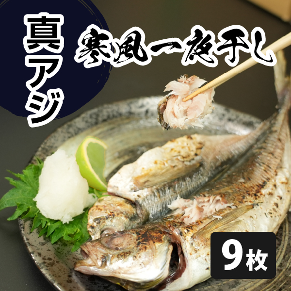 真アジの寒風一夜干し（冷凍）9枚入り