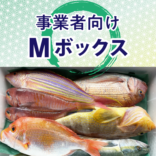 事業者向け Mボックス