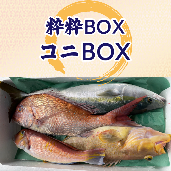 粋粋BOX S（コニBOX）