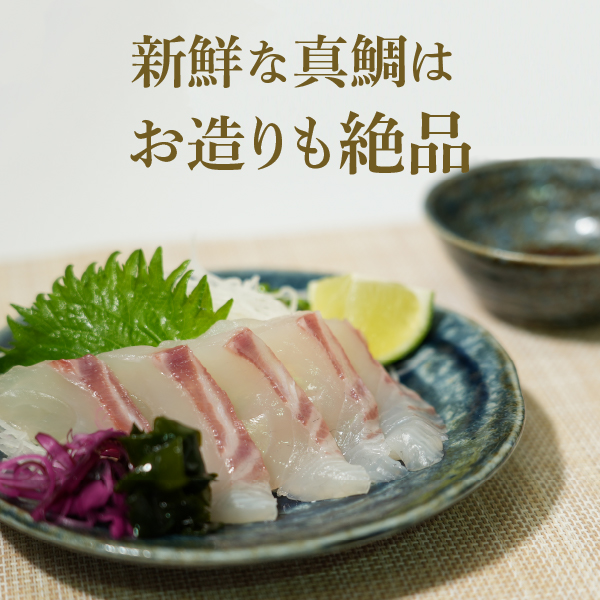 須崎野見の真鯛