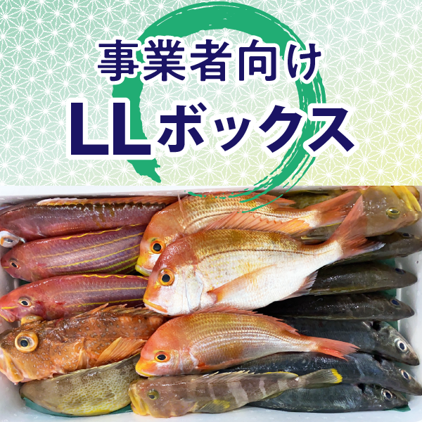 事業者向け LLボックス