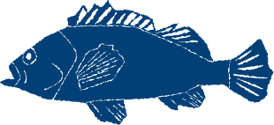 fish-icon